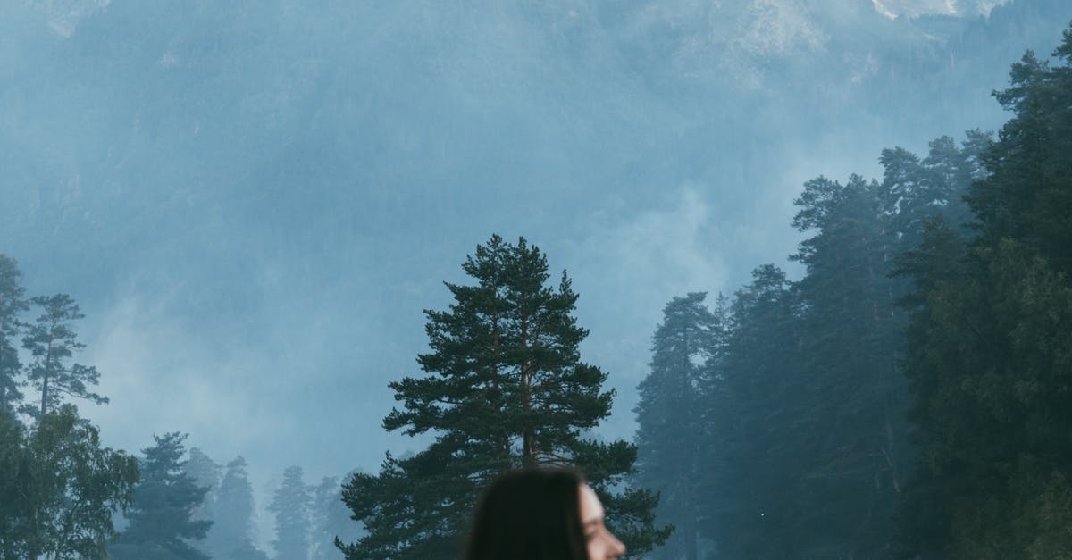 иллюстрация к статье "Как заработать на своем сайте"