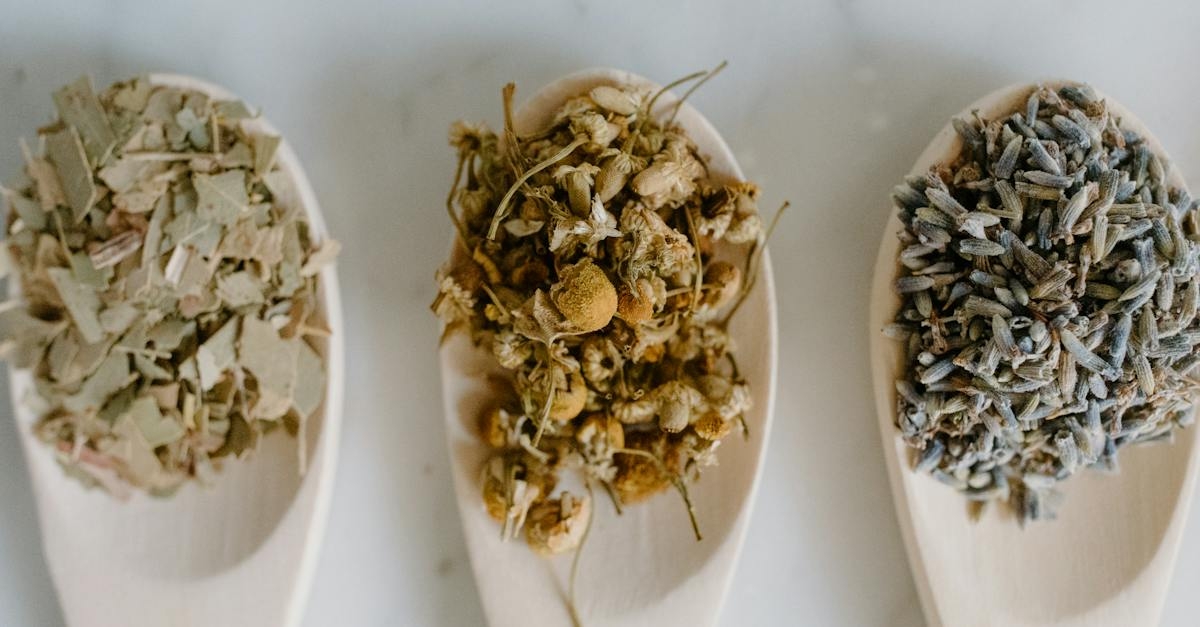 иллюстрация на тему "Лечение лучевых повреждений легких"