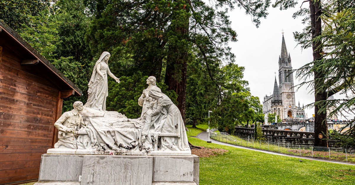 иллюстрация на тему "Душистые травы 