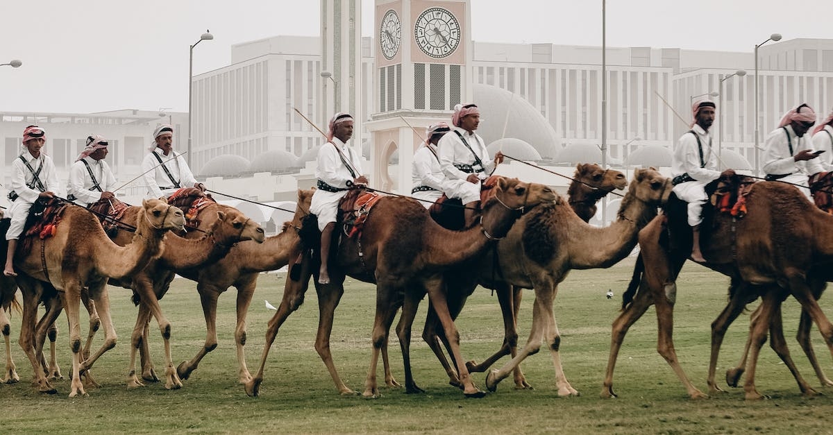 иллюстрация на тему "Домашний лазерный эпилятор - один из надежных женских помощников"