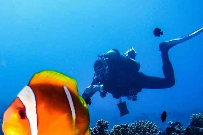 иллюстрация к статье "Чем отличаются школы дайвинга"