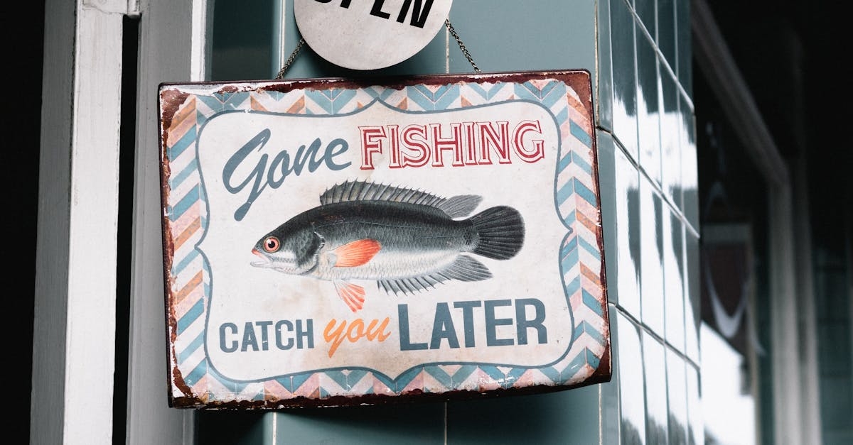 Рыбалка и отдых на воде выходного дня: как собрать комплект лодка ПВХ + мотор под ваш сценарий